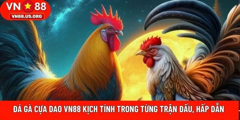 đá gà cựa dao