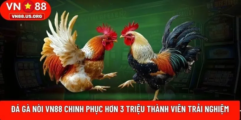 Đá gà nòi