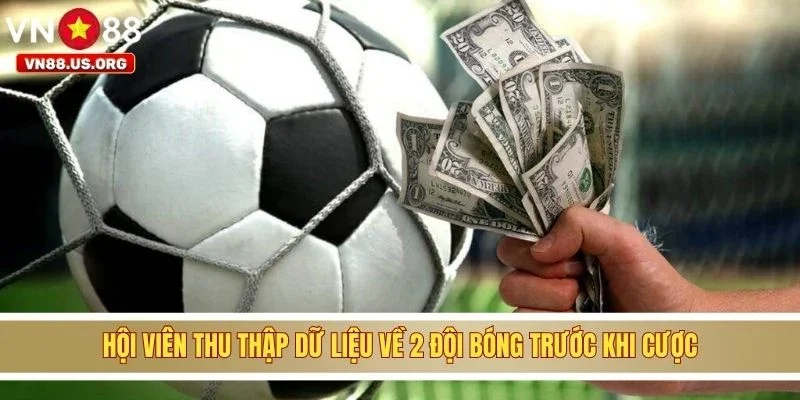 Hội viên thu thập dữ liệu về 2 đội bóng trước khi cược